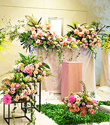 株式会社LIVENT(リベント) 画像