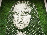 株式会社としまフューネス 画像2